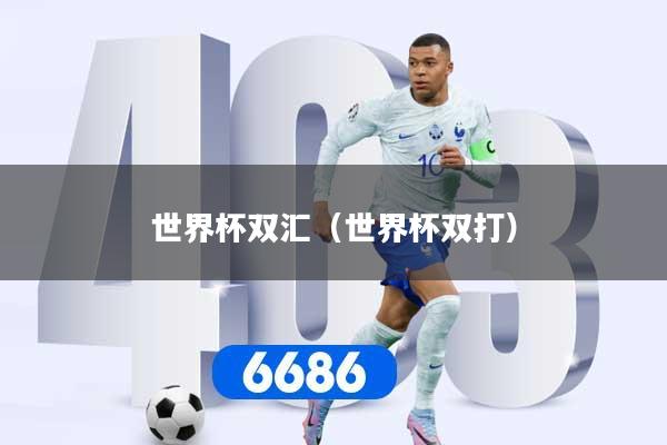 世界杯双汇（世界杯双打）