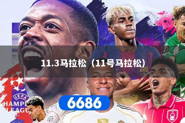 11.3马拉松(11号马拉松)