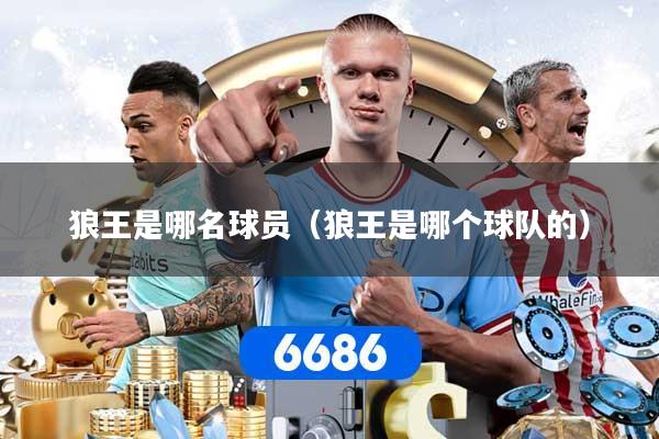 狼王是哪名球员（狼王是哪个球队的）