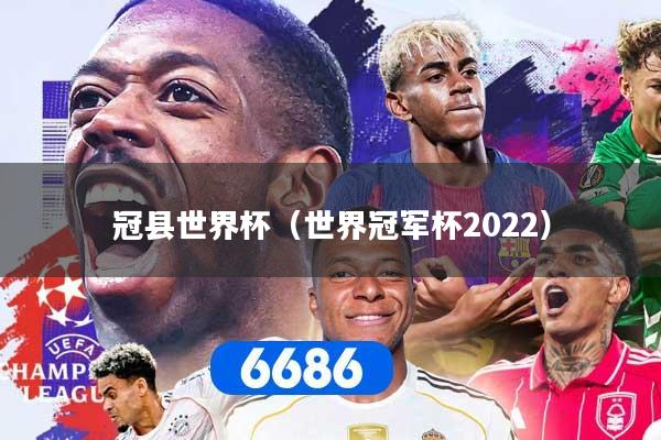 冠县世界杯（世界冠军杯2022）